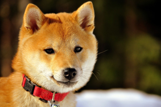 726670 (a): :3000x1993